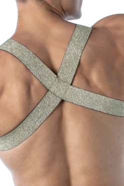 Herren Brust Harness gold