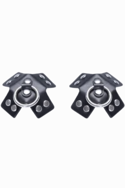 SM Nipple Pasties
